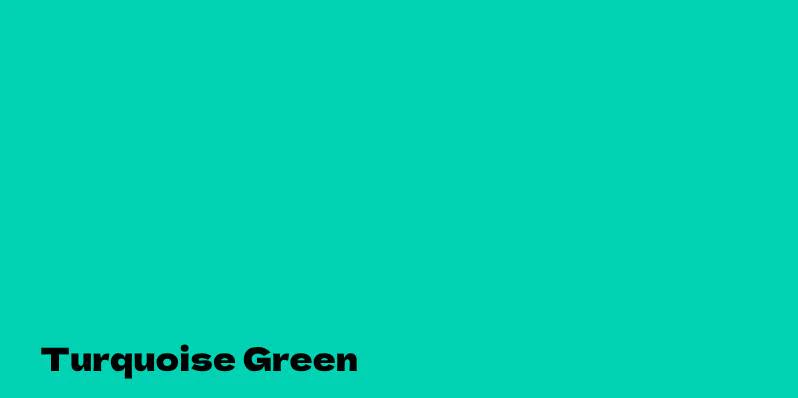 MTN Montana Colors Water Based Spray Paint 400ml - Image 50