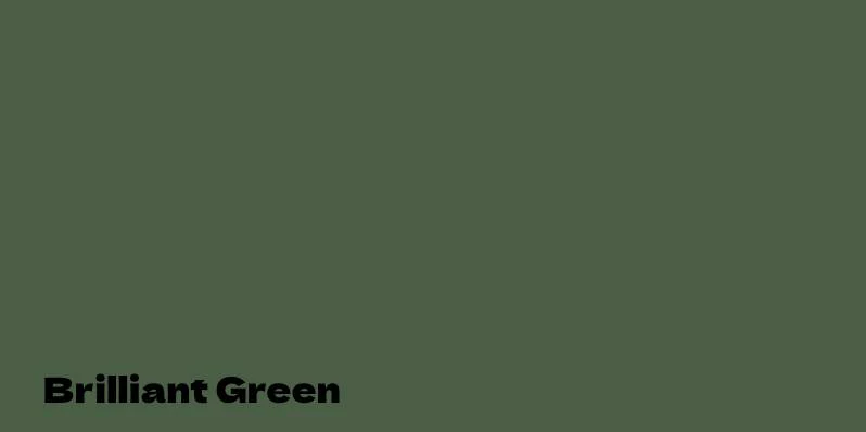 MTN Montana Colors Water Based Spray Paint 400ml - Image 61